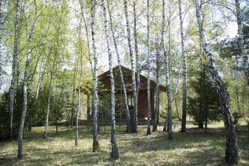 Фото номера Семейный номер с террасой Лоджи Cozy remote cabin on a lakeshore г. Kučiūnai 18