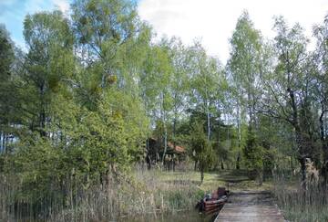 Фото номера Семейный номер с террасой Лоджи Cozy remote cabin on a lakeshore г. Kučiūnai 17