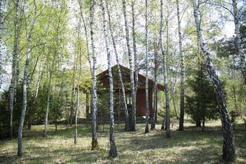 Фото Лоджи Cozy remote cabin on a lakeshore г. Kučiūnai 1