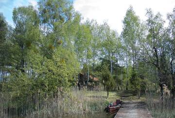 Фото номера Семейный номер с террасой Лоджи Cozy remote cabin on a lakeshore г. Kučiūnai 10